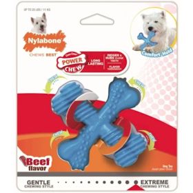 Nylabone Dura Chew X-Bone - Beef Flavor - Regular - 1 Pack